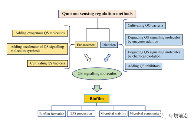 Kaiyun官方网FESE 前沿研究：生物废物处理系统中群体感应调节方法及其对生物膜的影响综述(图1)